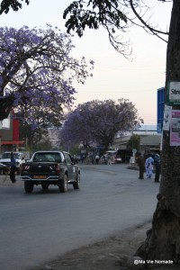 mbeya-jakarandas