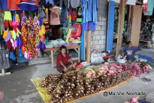 marche-jayapura-legumes (2)