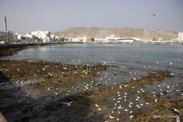 Corniche de Mutrah